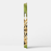 Seltener sibirischer Tiger: Gefährdete Ruhestätte Case-Mate iPhone Hülle (Rückseite / Rechts)