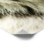 Seltener sibirischer Tiger: Gefährdete Ruhestätte Poster (Ecke)