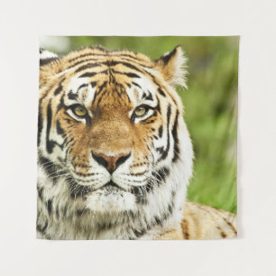 Seltener sibirischer Tiger: Gefährdete Ruhestätte Wandteppich