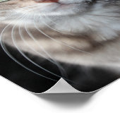 Seltenes Bengalisches katzenfoto aus blauem Marmor Poster (Ecke)