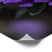 Seltenes Blue Elephant Bug Poster (Ecke)