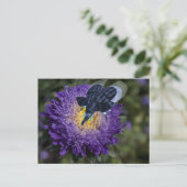 Seltenes Blue Elephant Bug Postkarte (Stehend Vorderseite)