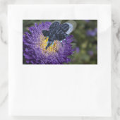 Seltenes Blue Elephant Bug Rechteckiger Aufkleber (Tasche)