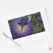 Seltenes Blue Elephant Bug Rechteckiger Aufkleber (Umschlag)