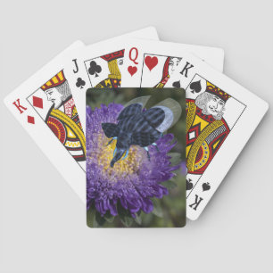 Seltenes Blue Elephant Bug Spielkarten