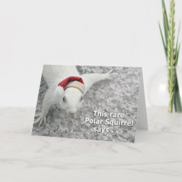 Seltenes Weihnachtshörnchen Feiertagskarte
