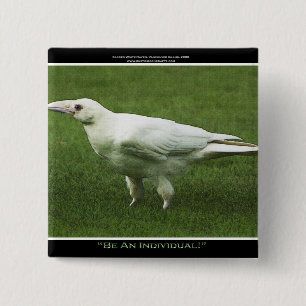 Seltenes White Raven Motivation Button