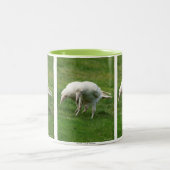 Seltenes White Raven Wildlife Foto Zweifarbige Tasse (Mittel)