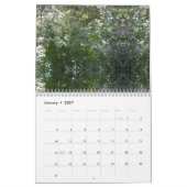 Seltsame Dinge rund um Watseka, Illinois Kalender (Jan 2027)