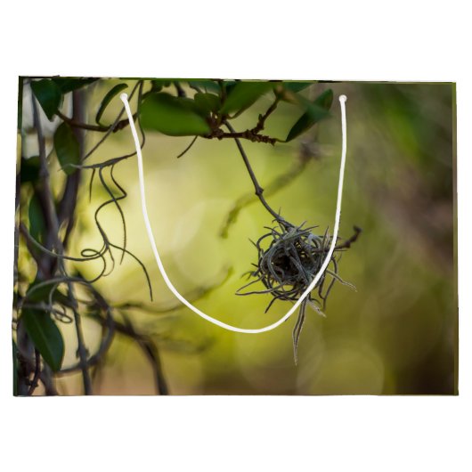 Seltsame Pflanze Große Geschenktüte (Rückseite)