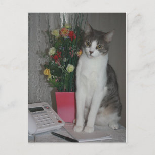 Seltsame Stimmen Postkarte