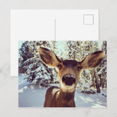 Seltsame Tat Postkarte (Vorne/Hinten)