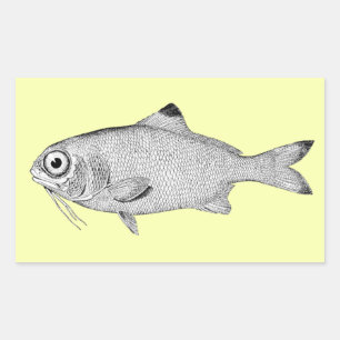 Seltsame Vintage Fische zeichnend Rechteckiger Aufkleber