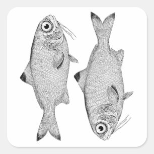 Seltsame Vintage-Fischzeichnung Quadratischer Aufkleber