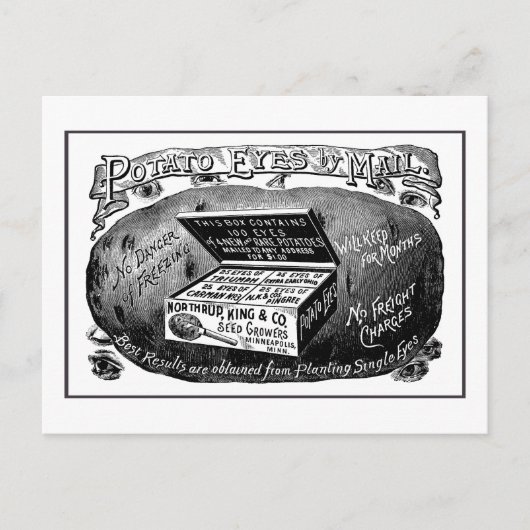 Seltsame Vintage Kartoffelwerbung Postkarte (Vorderseite)
