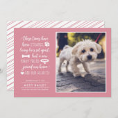 Seltsame Zeiten Ankündigung eines neuen Fotos für (Vorne/Hinten)