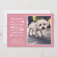 Seltsame Zeiten Ankündigung eines neuen Fotos für