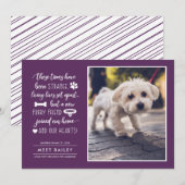 Seltsame Zeiten Ankündigung eines neuen Fotos für (Vorne/Hinten)