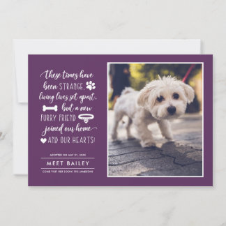 Seltsame Zeiten Ankündigung eines neuen Fotos für