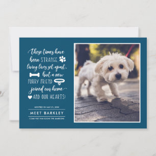 Seltsame Zeiten Ankündigung eines neuen Fotos für