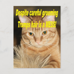 Seltsamer alter Trump Postkarte
