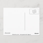 Seltsamer Tag, Postkarte (Rückseite)