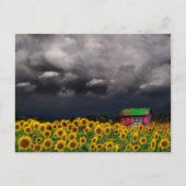 Seltsamer Tag, Postkarte (Vorderseite)