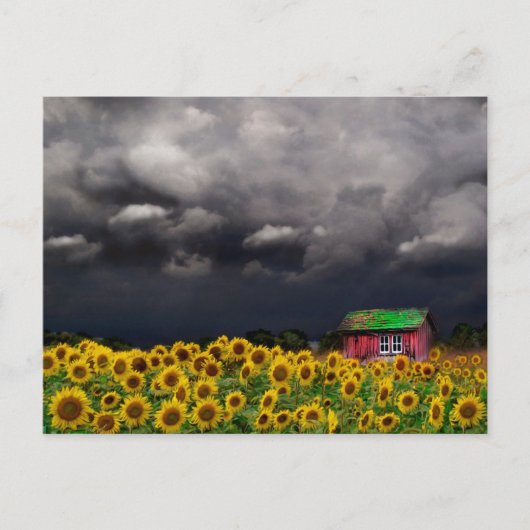 Seltsamer Tag, Postkarte (Vorderseite)