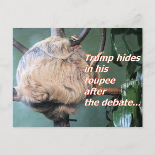 Seltsamer Trump Verlierer  Postkarte