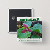 Seltsamerweise Adirondack-Taste (Ampersand Trilliu Button (Vorne & Hinten)