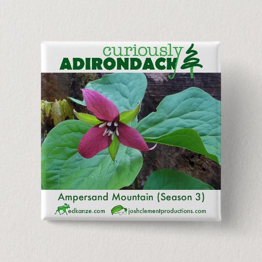 Seltsamerweise Adirondack-Taste (Ampersand Trilliu Button (Vorderseite)