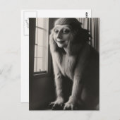 Seltsames Pet Halloween Postkarte (Vorne/Hinten)