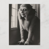 Seltsames Pet Halloween Postkarte (Vorderseite)