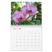 SEM-Kalender - Blume-Fotos Kalender (Jan 2026)