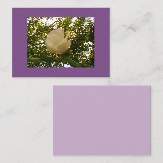 Semi Gloss White Rose Bloom Visitenkarte (Vorne/Hinten)