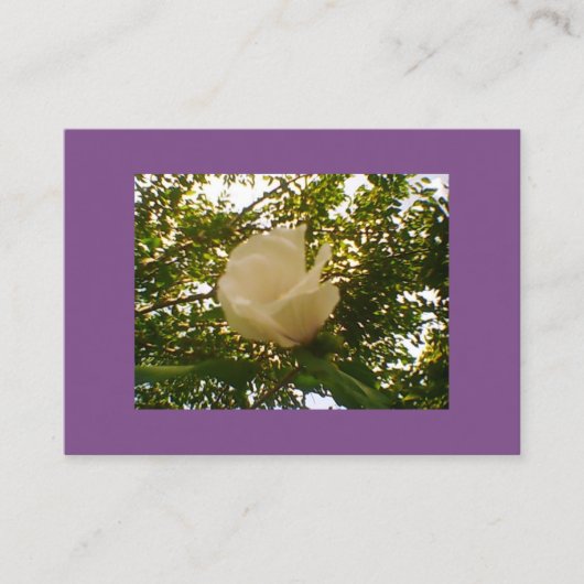 Semi Gloss White Rose Bloom Visitenkarte (Vorderseite)