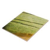 Semi-wertvolle Edelsteinstruktur Fliese (Seite)