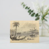 Seminolen am St. Johns River Postkarte (Stehend Vorderseite)