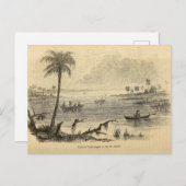 Seminolen am St. Johns River Postkarte (Vorne/Hinten)