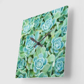 Sempervivum Quadratische Wanduhr (Winkel)