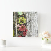 Sempervivum Quadratische Wanduhr (Zuhause)