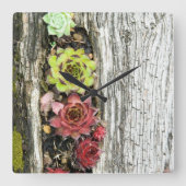 Sempervivum Quadratische Wanduhr (Vorderseite)