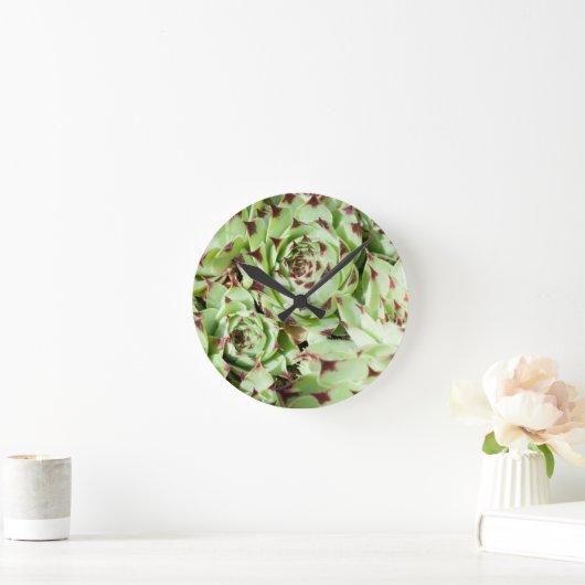 Sempervivum Runde Wanduhr (Zuhause)