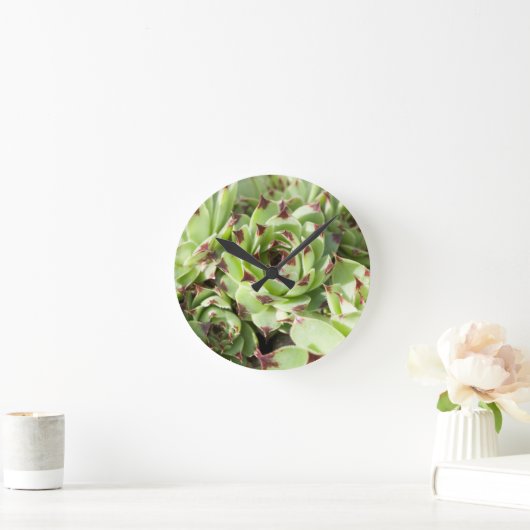 Sempervivum Runde Wanduhr (Zuhause)