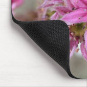 Sempervivum tectorum mousepad (Ecke)