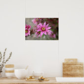 Sempervivum tectorum poster (Küche)