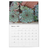 Sempervivum und Jovibarba Kalender (Feb 2027)