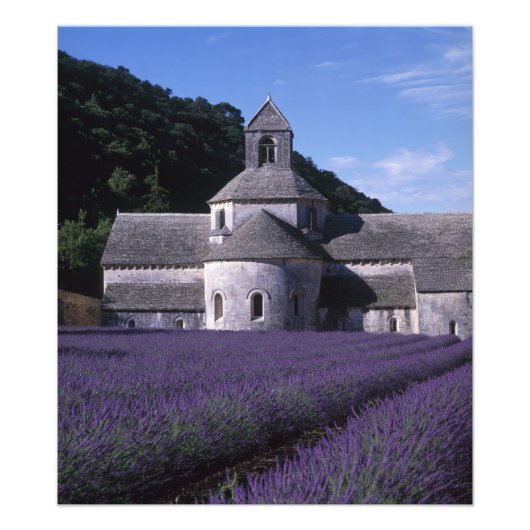 Senanque Abbey, Gordes, Vaucluse, Provence, 2 Fotodruck (Vorne)