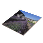 Senanque Abbey, Gordes, Vaucluse, Provence Fliese (Seite)