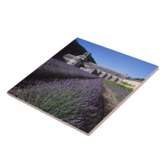 Senanque Abbey, Gordes, Vaucluse, Provence Fliese (Seite)